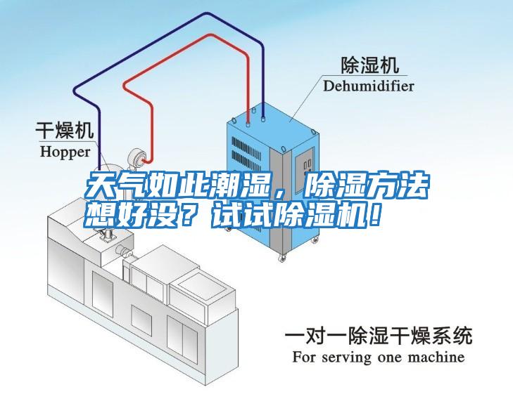 天氣如此潮濕，除濕方法想好沒？試試除濕機！
