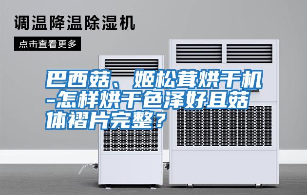 巴西菇、姬松茸烘干機(jī)-怎樣烘干色澤好且菇體褶片完整？