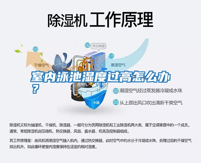 室內(nèi)泳池濕度過(guò)高怎么辦？