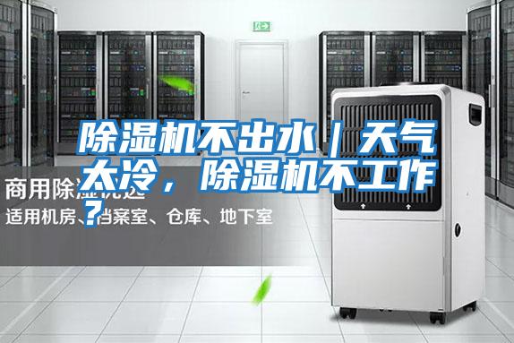 除濕機不出水｜天氣太冷，除濕機不工作？