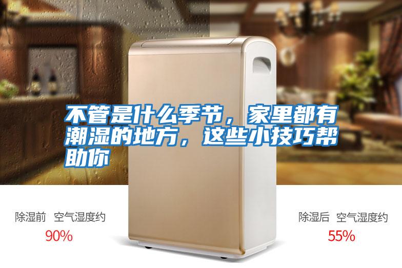 不管是什么季節(jié)，家里都有潮濕的地方，這些小技巧幫助你