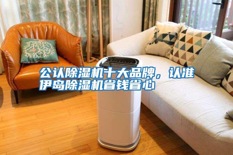 公認(rèn)除濕機(jī)十大品牌，認(rèn)準(zhǔn)伊島除濕機(jī)省錢省心