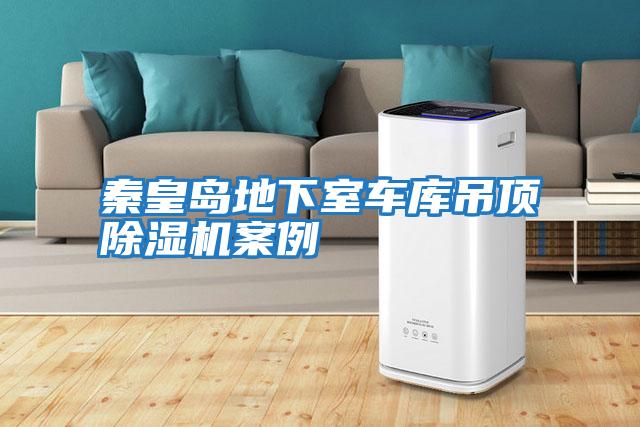 秦皇島地下室車(chē)庫(kù)吊頂除濕機(jī)案例
