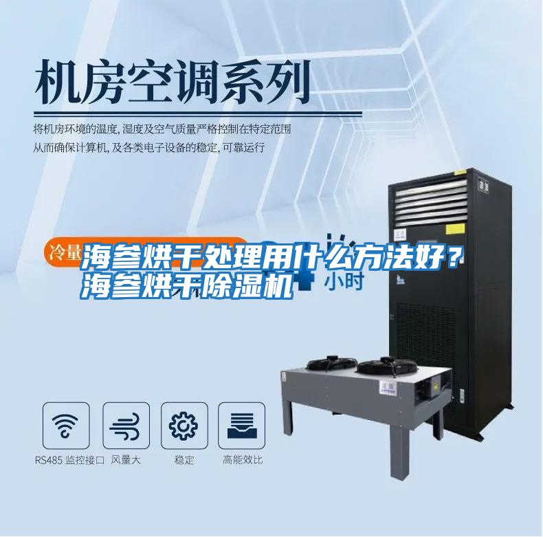 海參烘干處理用什么方法好？海參烘干除濕機