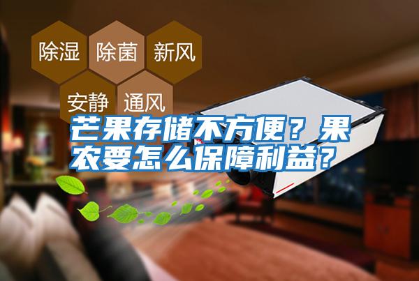 芒果存儲不方便？果農要怎么保障利益？