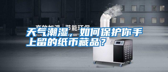 天氣潮濕，如何保護(hù)你手上留的紙幣藏品？
