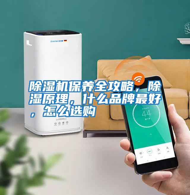 除濕機保養(yǎng)全攻略，除濕原理，什么品牌最好，怎么選購