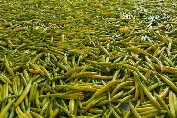 無硫金針菜烘干如何保持品相？不發(fā)黑？_除濕機(jī)廠家
