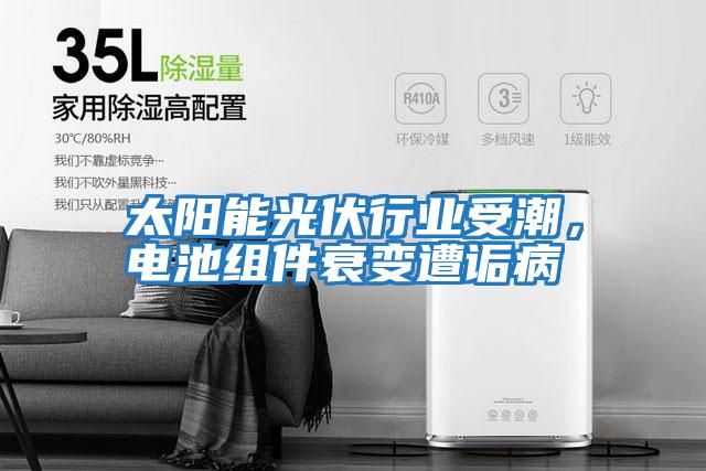 太陽能光伏行業(yè)受潮，電池組件衰變?cè)庠嵅?></div>
								<div   id=
