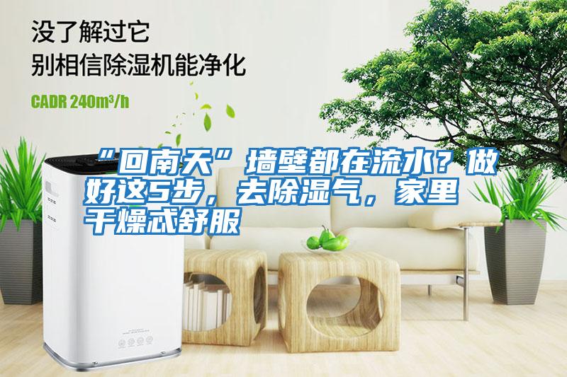“回南天”墻壁都在流水？做好這5步，去除濕氣，家里干燥忒舒服