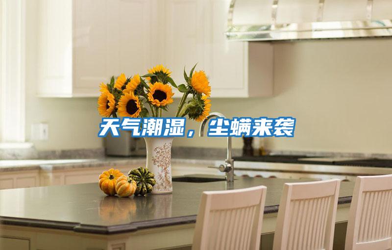 天氣潮濕，塵螨來(lái)襲