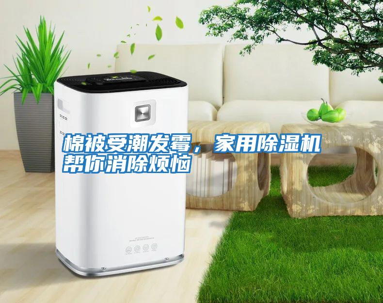棉被受潮發霉，家用除濕機幫你消除煩惱