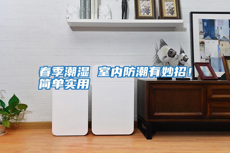 春季潮濕 室內防潮有妙招！簡單實用