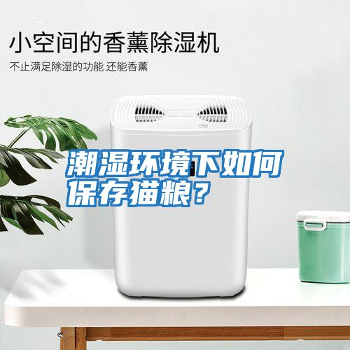 潮濕環境下如何保存貓糧？