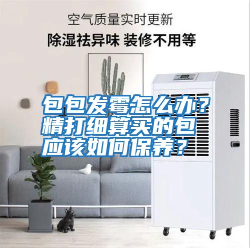 包包發(fā)霉怎么辦？精打細(xì)算買的包應(yīng)該如何保養(yǎng)？