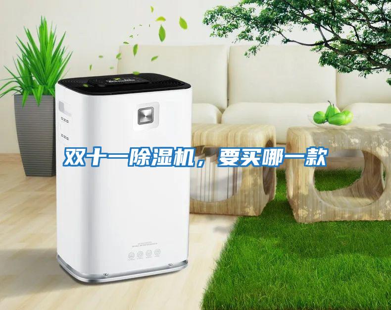 雙十一除濕機(jī)，要買哪一款
