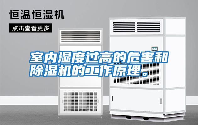 室內濕度過高的危害和除濕機的工作原理。