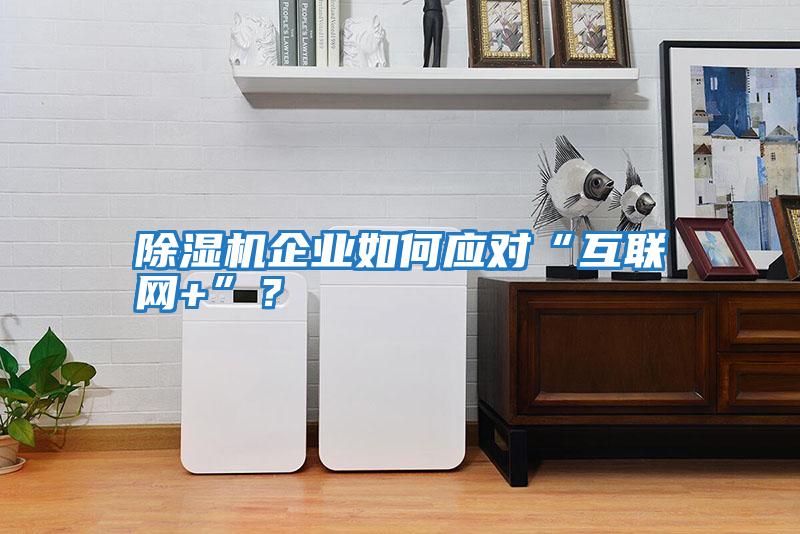 除濕機(jī)企業(yè)如何應(yīng)對(duì)“互聯(lián)網(wǎng)+”?