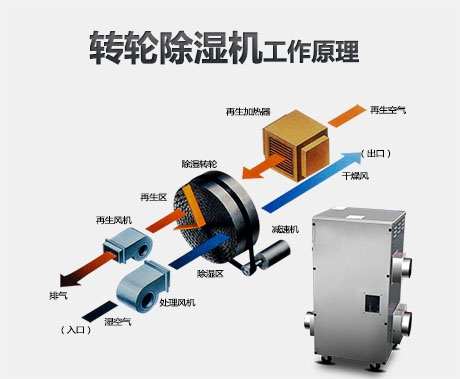 潮濕危害真不小，用除濕機(jī)真見效