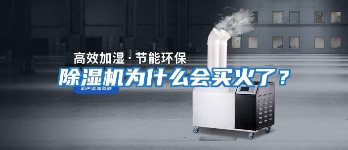 除濕機(jī)為什么會買火了?