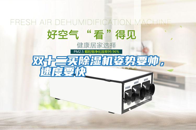 雙十二買除濕機姿勢要帥， 速度要快