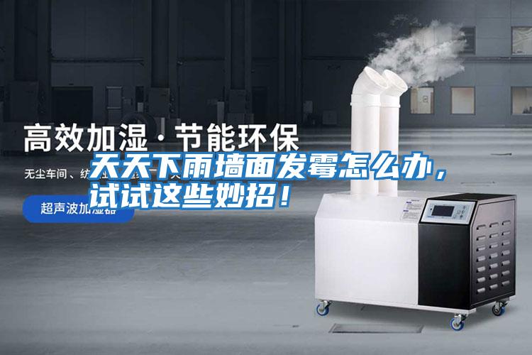 天天下雨墻面發霉怎么辦，試試這些妙招！