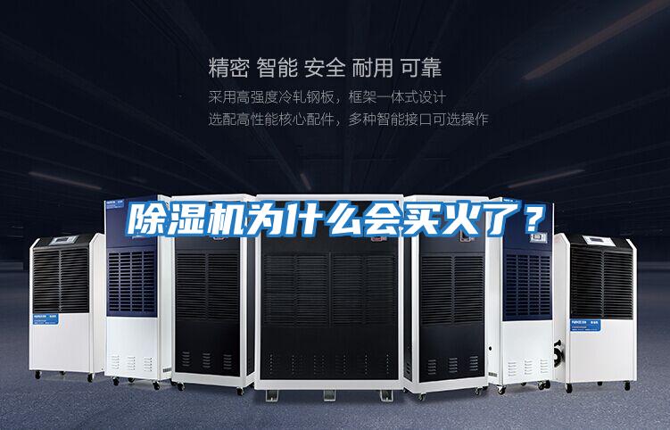 除濕機(jī)為什么會(huì)買火了？