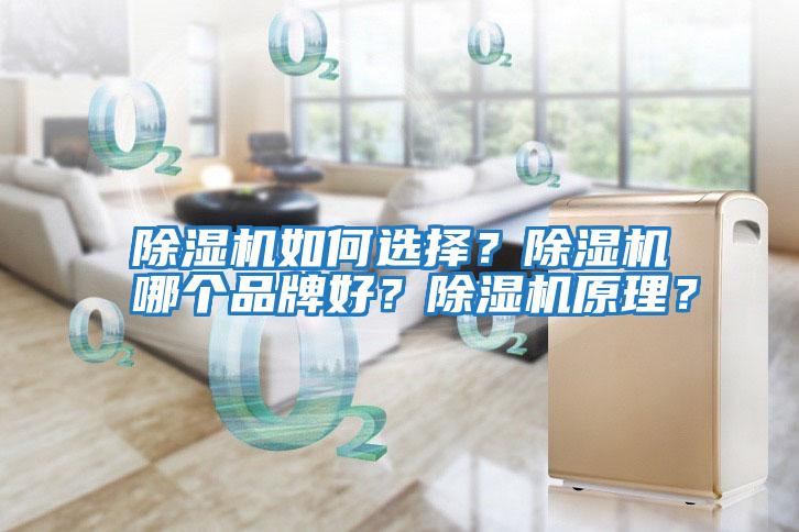 除濕機如何選擇？除濕機哪個品牌好？除濕機原理？