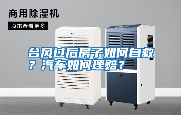 臺(tái)風(fēng)過后房子如何自救？汽車如何理賠？