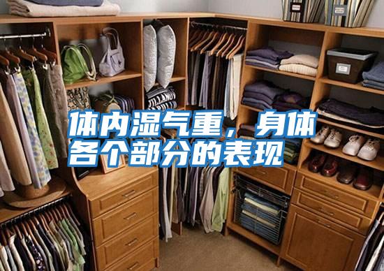體內濕氣重，身體各個部分的表現