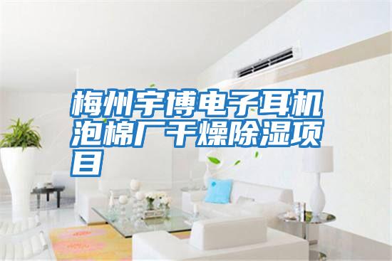 梅州宇博電子耳機(jī)泡棉廠干燥除濕項(xiàng)目