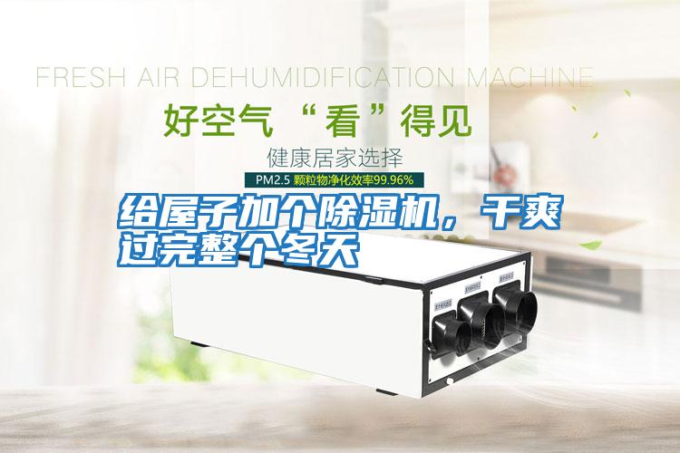 給屋子加個除濕機，干爽過完整個冬天