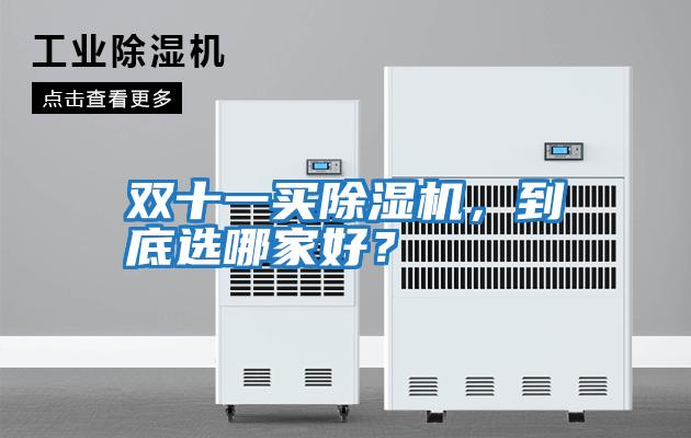 雙十一買除濕機，到底選哪家好？