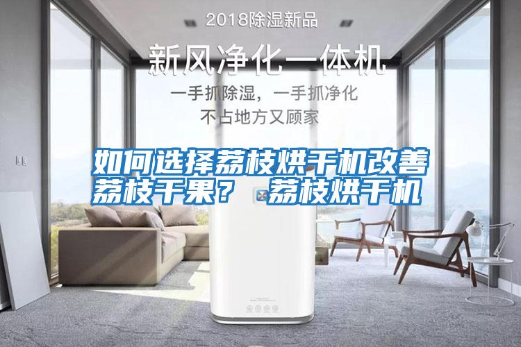 如何選擇荔枝烘干機改善荔枝干果？ 荔枝烘干機