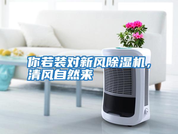 你若裝對新風除濕機，清風自然來