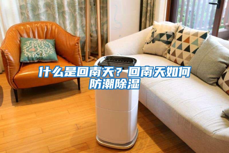 什么是回南天？回南天如何防潮除濕