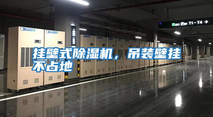 掛壁式除濕機(jī)，吊裝壁掛不占地