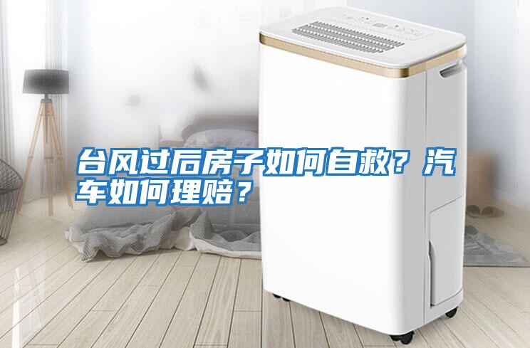 臺風過后房子如何自救？汽車如何理賠？