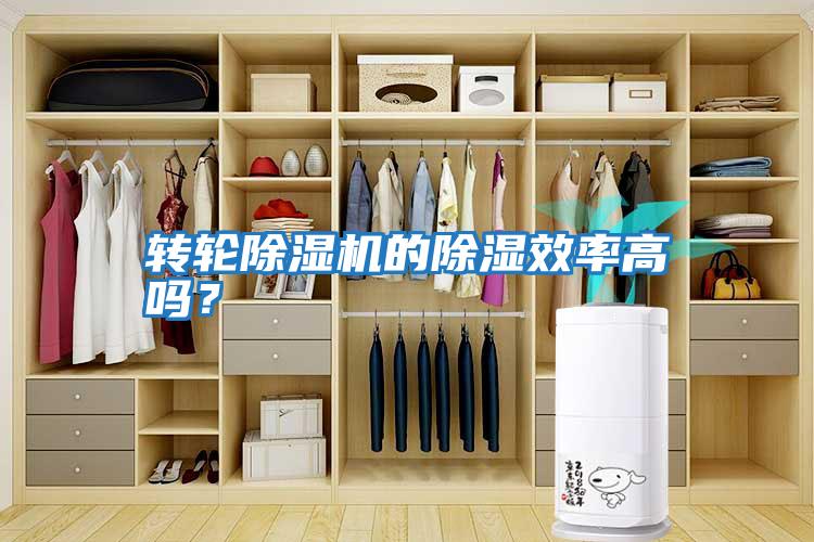 轉輪除濕機的除濕效率高嗎？