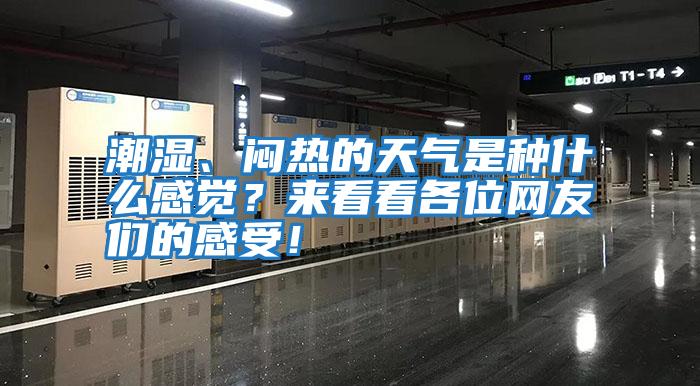 潮濕、悶熱的天氣是種什么感覺？來看看各位網(wǎng)友們的感受！