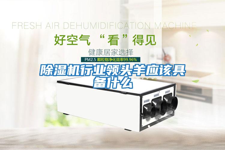 除濕機行業領頭羊應該具備什么