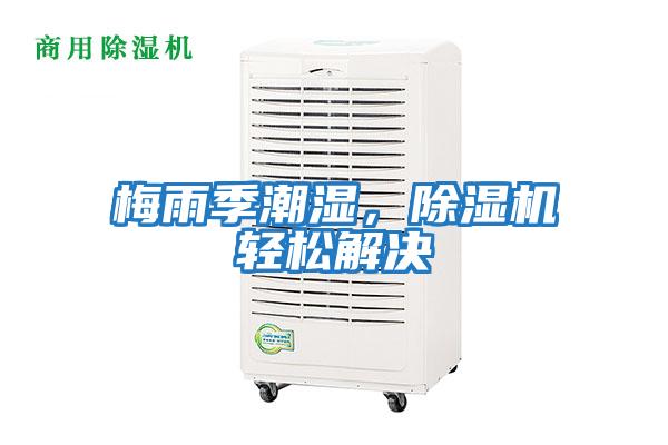 梅雨季潮濕，除濕機輕松解決