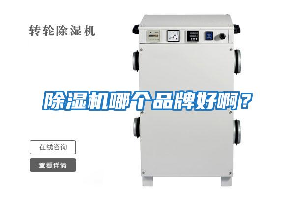 除濕機哪個品牌好???