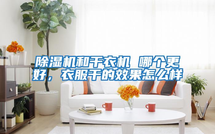 除濕機(jī)和干衣機(jī) 哪個(gè)更好，衣服干的效果怎么樣