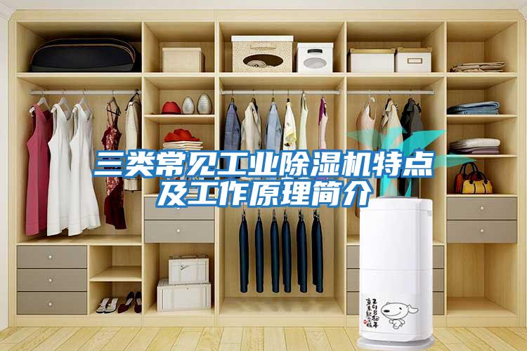 三類常見(jiàn)工業(yè)除濕機(jī)特點(diǎn)及工作原理簡(jiǎn)介