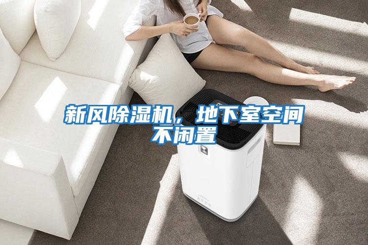 新風除濕機，地下室空間不閑置