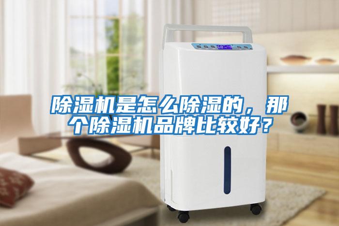 除濕機(jī)是怎么除濕的，那個除濕機(jī)品牌比較好？