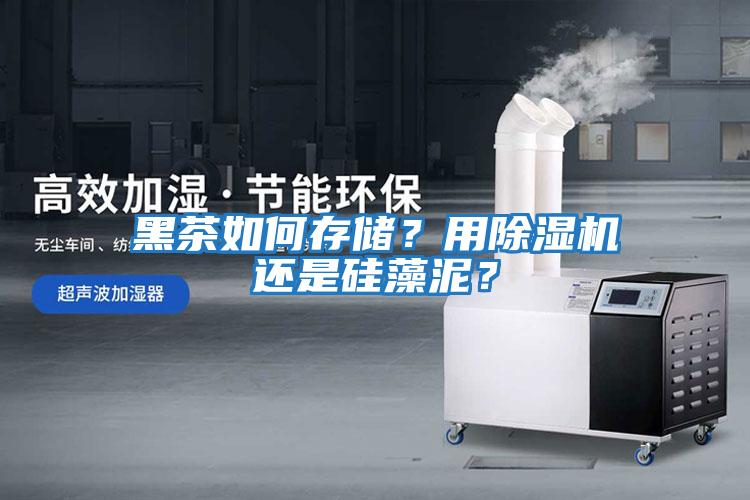 黑茶如何存儲(chǔ)？用除濕機(jī)還是硅藻泥？