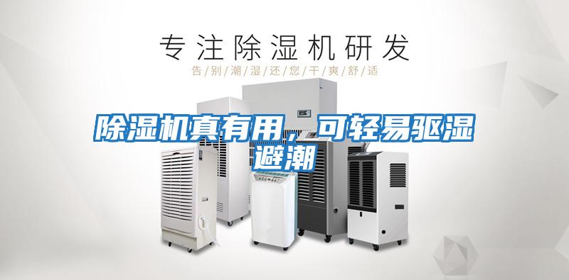 除濕機真有用，可輕易驅(qū)濕避潮