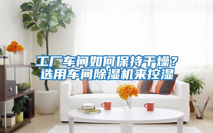 工廠車間如何保持干燥？選用車間除濕機來控濕